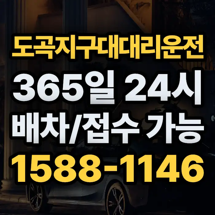도곡지구대대리운전 썸네일