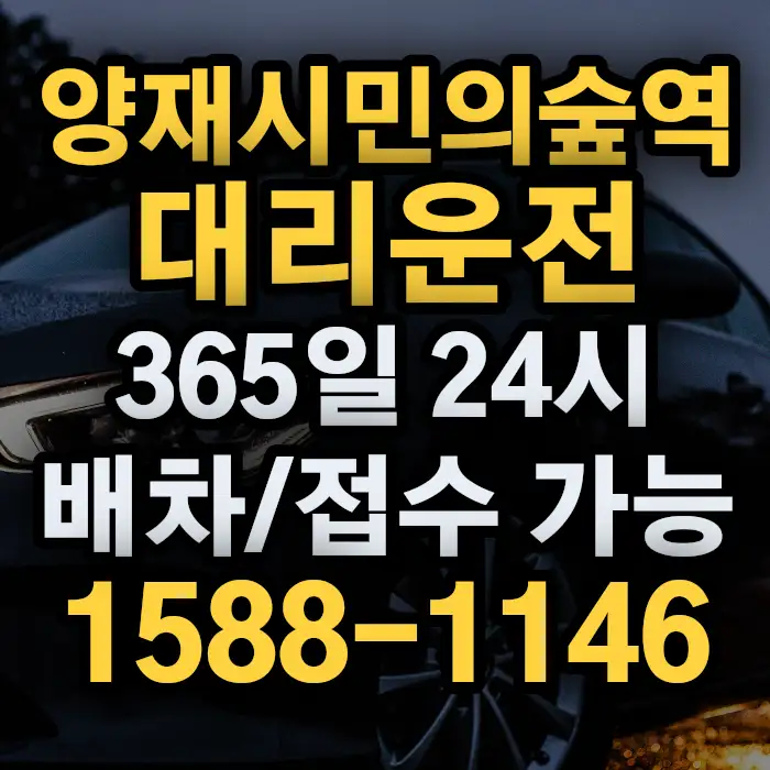 양재시민의숲역대리운전 썸네일
