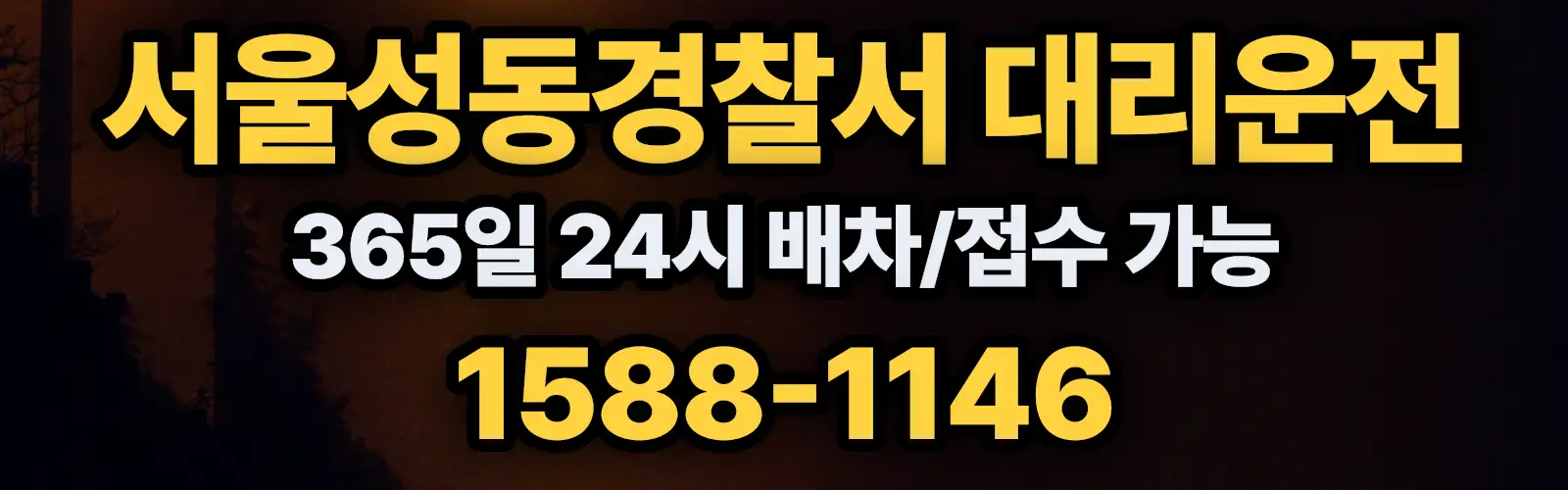 서울성동경찰서대리운전 365일 24시 배차/접수 가능 1588-1146