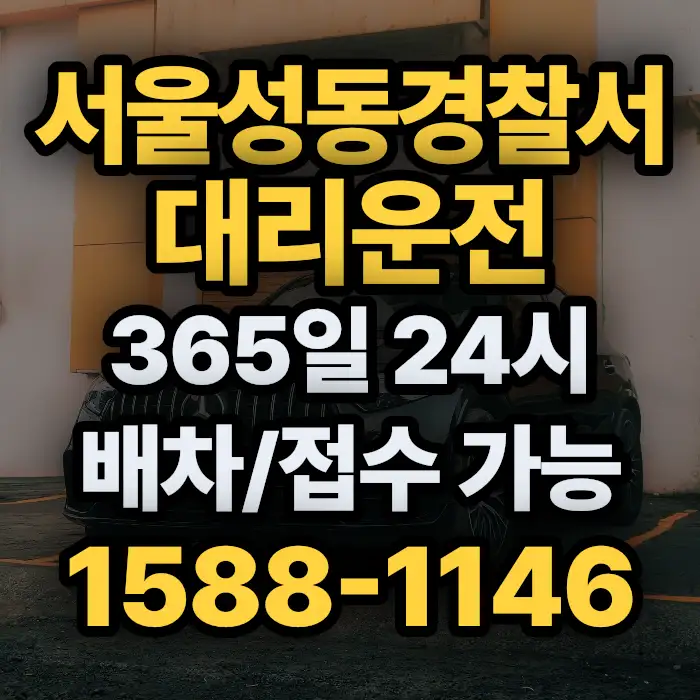 서울성동경찰서대리운전 썸네일